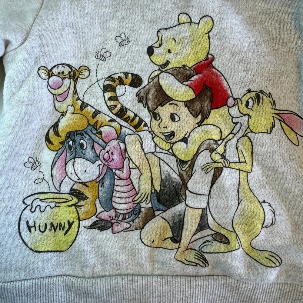 Disney Baby Winnie the Pooh & Friends Graphic Sweatshirt Shoulder Button Newborn